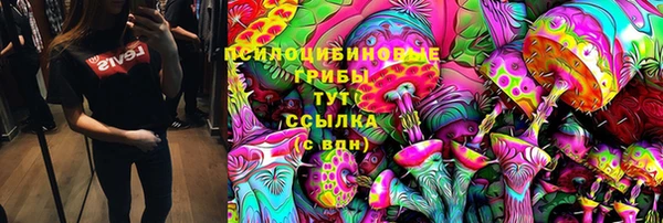 амф Алзамай
