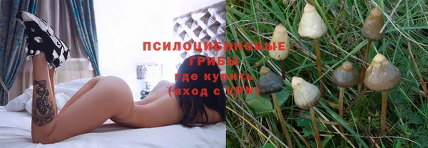 амф Алзамай