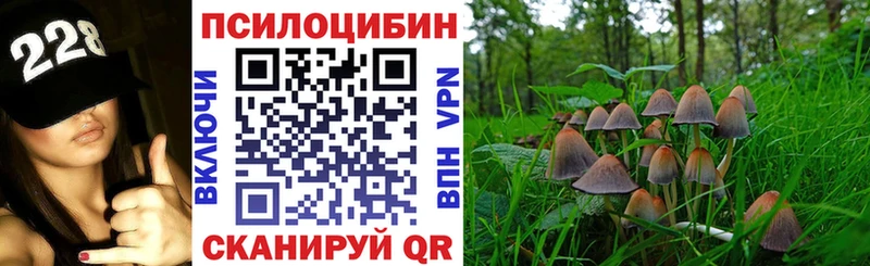 продажа наркотиков  Тихвин  Псилоцибиновые грибы Cubensis 
