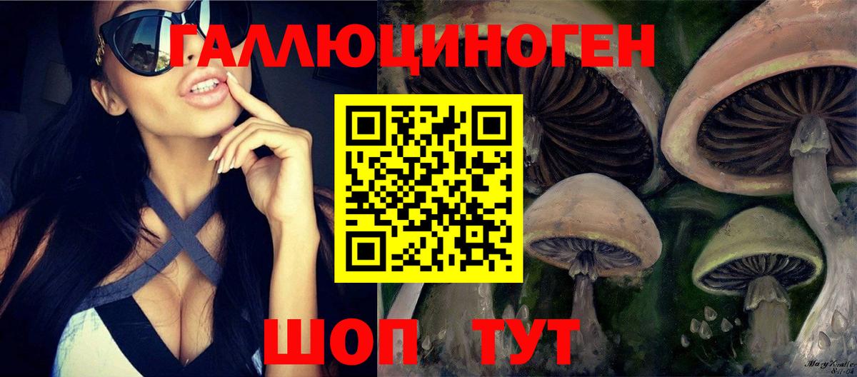 Тихвин  Псилоцибиновые грибы GOLDEN TEACHER  Вход с VPN 
